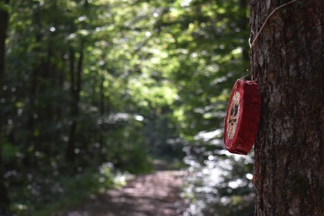 Ullstorps Stugor forest trail marker